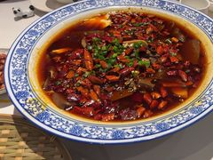 -院8里·少城记忆老川菜(宽窄巷子店)