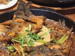 -老板恋上鱼(恒隆广场店)