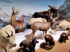 -陕西自然博物馆