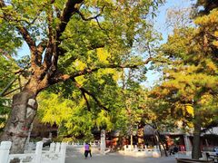 -潭柘寺景区