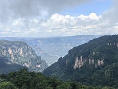 -王莽岭风景区