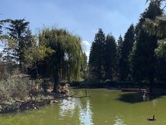 -云南野生动物园