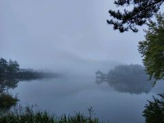 -庐山风景区花径公园