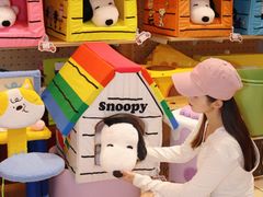 -帕帕拉兹宠物(亚洲旗舰店)