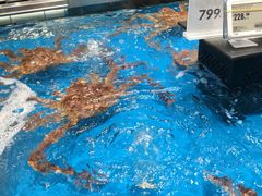 -盒马鲜生(领丰汇店)