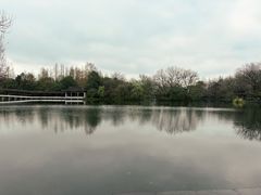 -古韵餐厅(湖畔大学店)