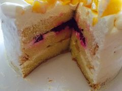 -维尔纳斯·生日蛋糕·动物奶油冰淇淋蛋糕(六里桥店)