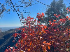 -香山公园