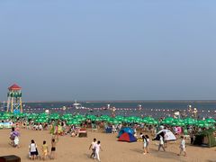 -碧海金沙