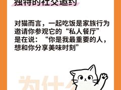 -睿金宠物医院·CT·肿瘤·骨外科
