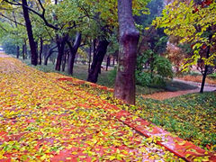 iphone_upload_pic-八大关景区