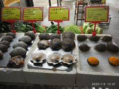 -蚝专家(北滘店)