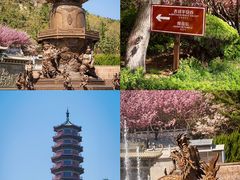-石岛赤山风景区