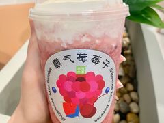 -奈雪的茶(市百一店)