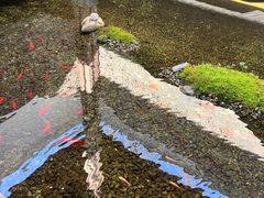 -几荷·恰似故人来(秀水广场店)
