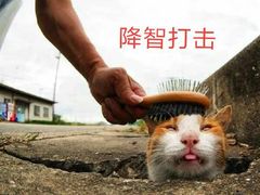 -憨铁匠老火锅(龙岗万科里店)