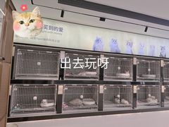 -翊宠yipet猫狗购宠庄园犬舍•猫舍