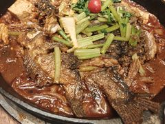 -老板恋上鱼(环山路店)