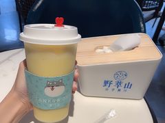 -野萃山·潮汕厚果汁(十亩地店)