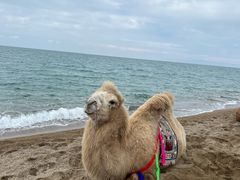 -青海湖国家重点风景名胜区