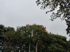 -深圳湾公园(南山区)