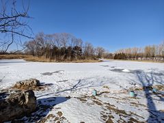 -大兴滨河森林公园