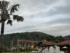 -三亚亚龙湾瑞吉酒店·宴悦Driftwood·游水海鲜·牛排·草坪·私人定制