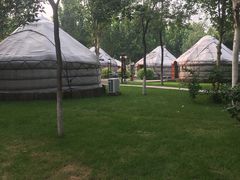 -九十九顶毡房(阜石路店)