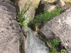 -云溪植物园