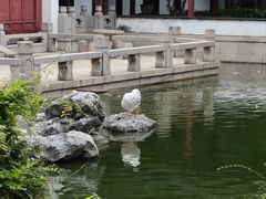 -祝家花園(伯渎港店)