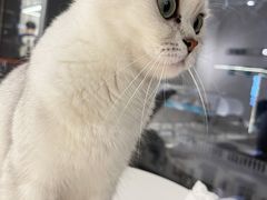 -怪兽屋·羊驼·猫咖·狗咖(俊华广场店)