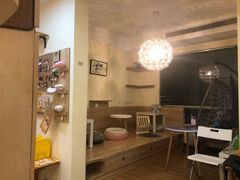 -滚猫咖啡·猫咖·猫友好撸猫(未来城店)