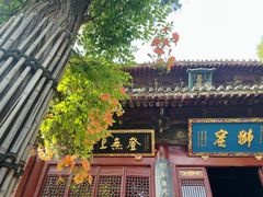 -洛阳白马寺