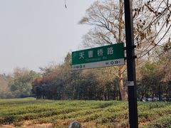 -灵顺寺