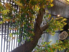 -阳光院坝小龙虾(红牌楼店)