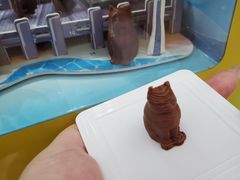 -湖南省地质博物馆