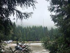 -武陵山森林公园