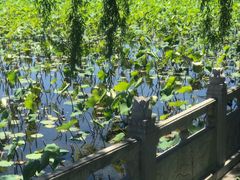 -南戴河国际娱乐中心