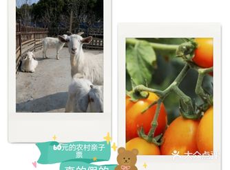 你可以考虑乘坐地铁8号线然后换乘978到这里来