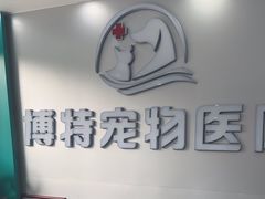 -博特宠物医院24h犬猫全科.骨科·异宠