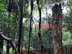 -玉女潭景区