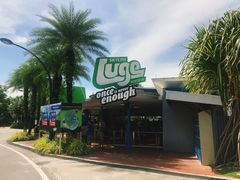 -圣淘沙天际线斜坡滑车