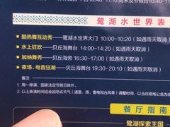 -美的鹭湖探索王国