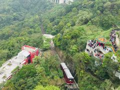 -香港皇家太平洋酒店