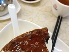 -百利鸽王(紫薇路店)