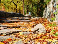 -阳台山自然风景区