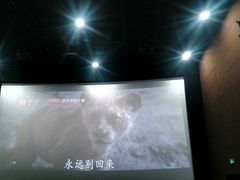 -SFC上影影城(港汇永华IMAX激光店)