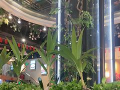 -龙泉人椰子鸡·糟粕醋·地标海南菜(龙昆南店)