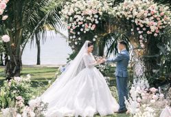点击看大图 婚纱-B.Bridge Couture婚纱礼服(福田店)
