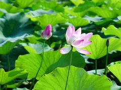 -宜兴龙背山森林公园